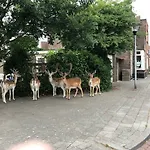 Pension Pitstop